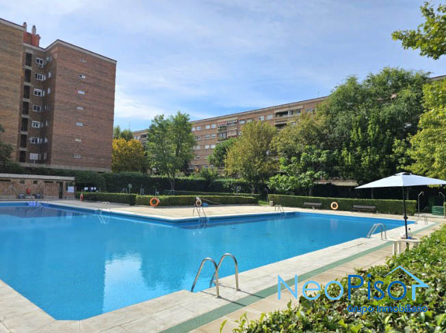 ESPACIOSO! Piso con PISCINA en Avda. de LOS CASTILLOS ESPACIOSO! Piso con PISCINA en Avda. de LOS CASTILLOS